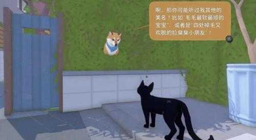 《小猫咪大城市》动物伙伴图鉴