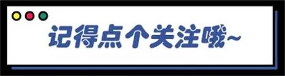 未来可期的二次元大逃杀游戏——《白厄战境》简评