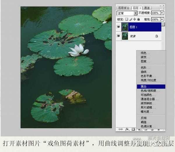 Photoshop将普通的荷叶图转成经典水墨画效果