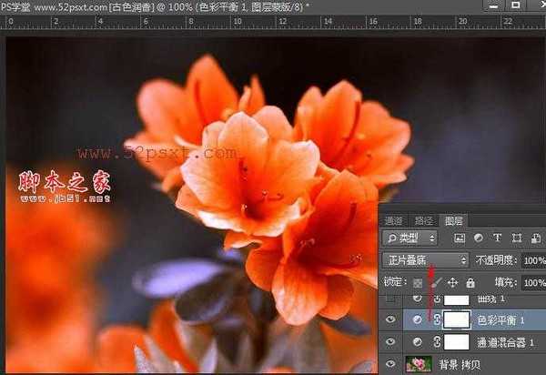 Photoshop将花卉特写图片打造具有古典韵味的黄褐色效果