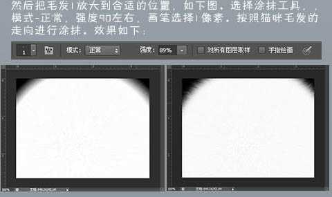 photoshop鼠绘神态憨厚的小白猫头像效果