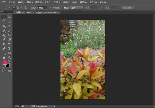 photoshop cs6怎么替换颜色 photoshop cs6给植物图片替换颜色教程